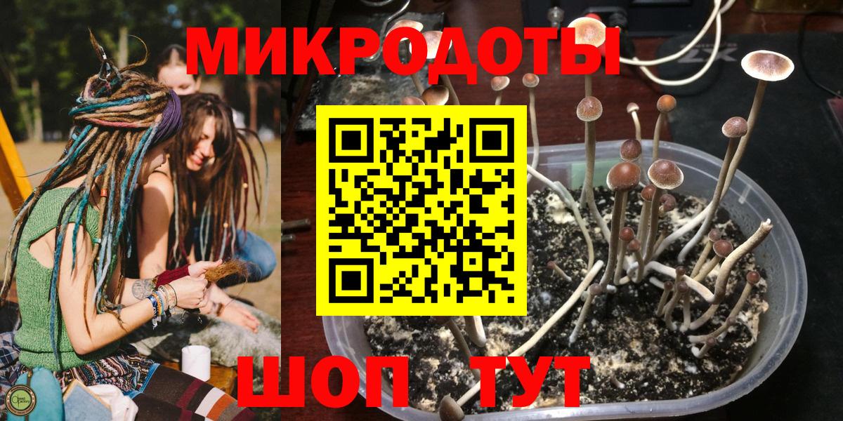 Галлюциногенные грибы Magic Shrooms  Вход с VPN  Трёхгорный  купить закладку  Галлюциногенные грибы MAGIC MUSHROOMS 